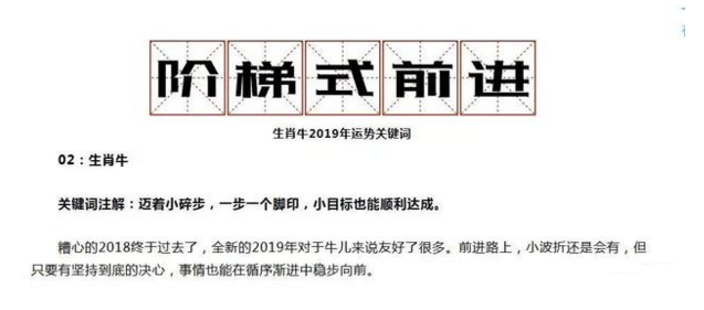 探索未来预测世界，揭秘精准生肖码与词语释义的奥秘