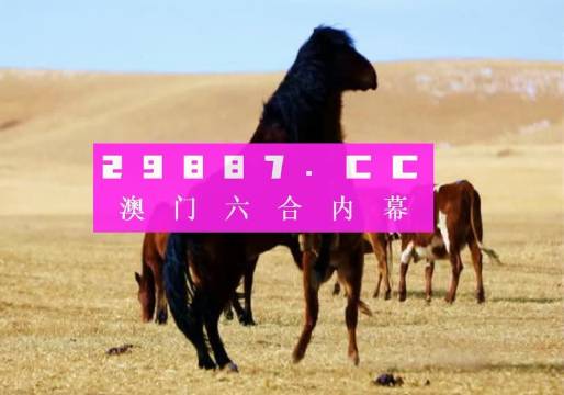 777778888精准跑狗;精选解释解析落实