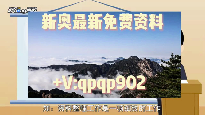 2924新奥正版免费资料大全;精选解释解析落实