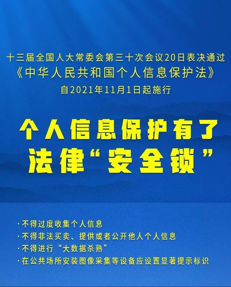 2025新奥正版资料四不像;精选解释解析落实