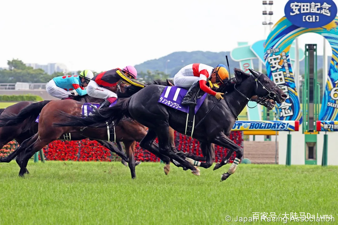 香港特马资料王中王;精选解释解析落实