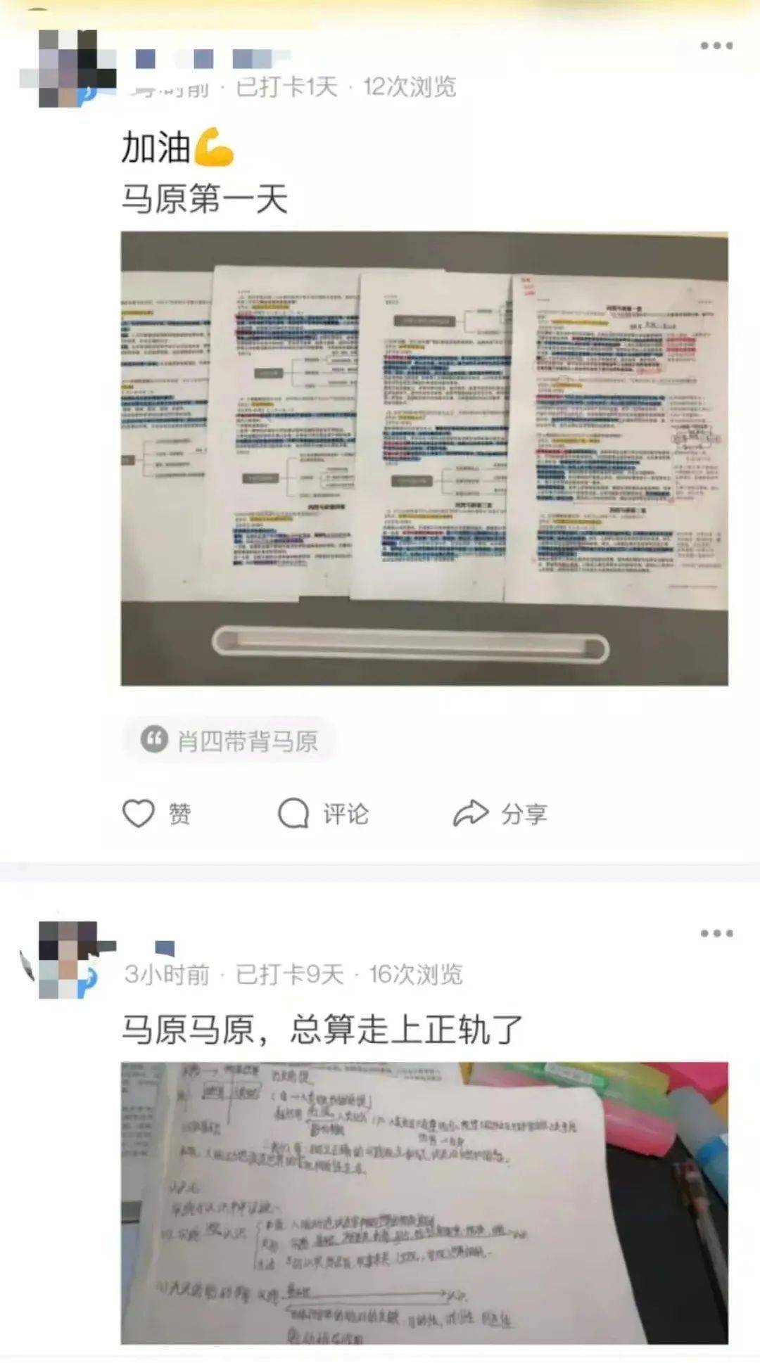 四肖期期准四肖期准开;精选解释解析落实